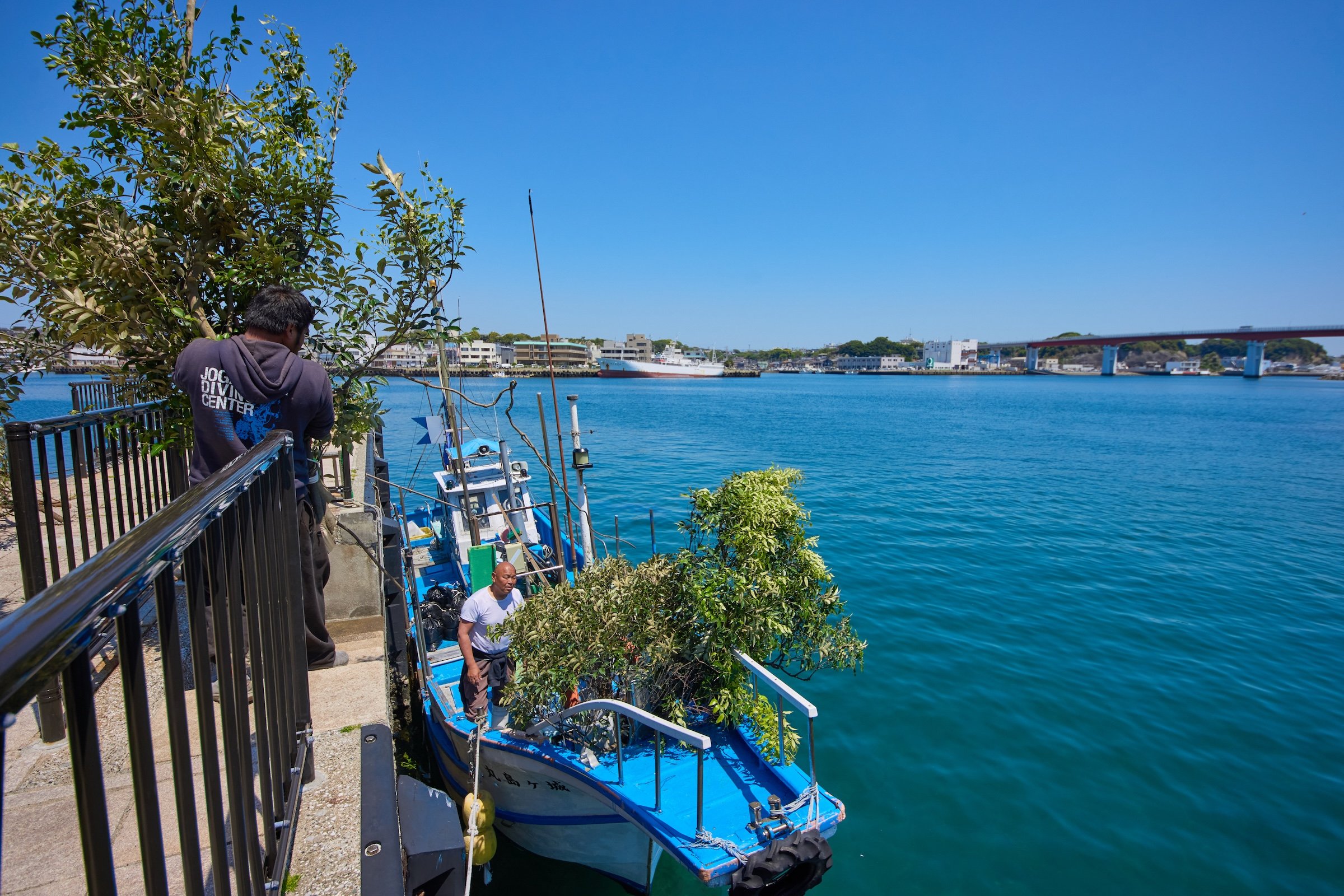 09aoriika_250430_021.jpg
