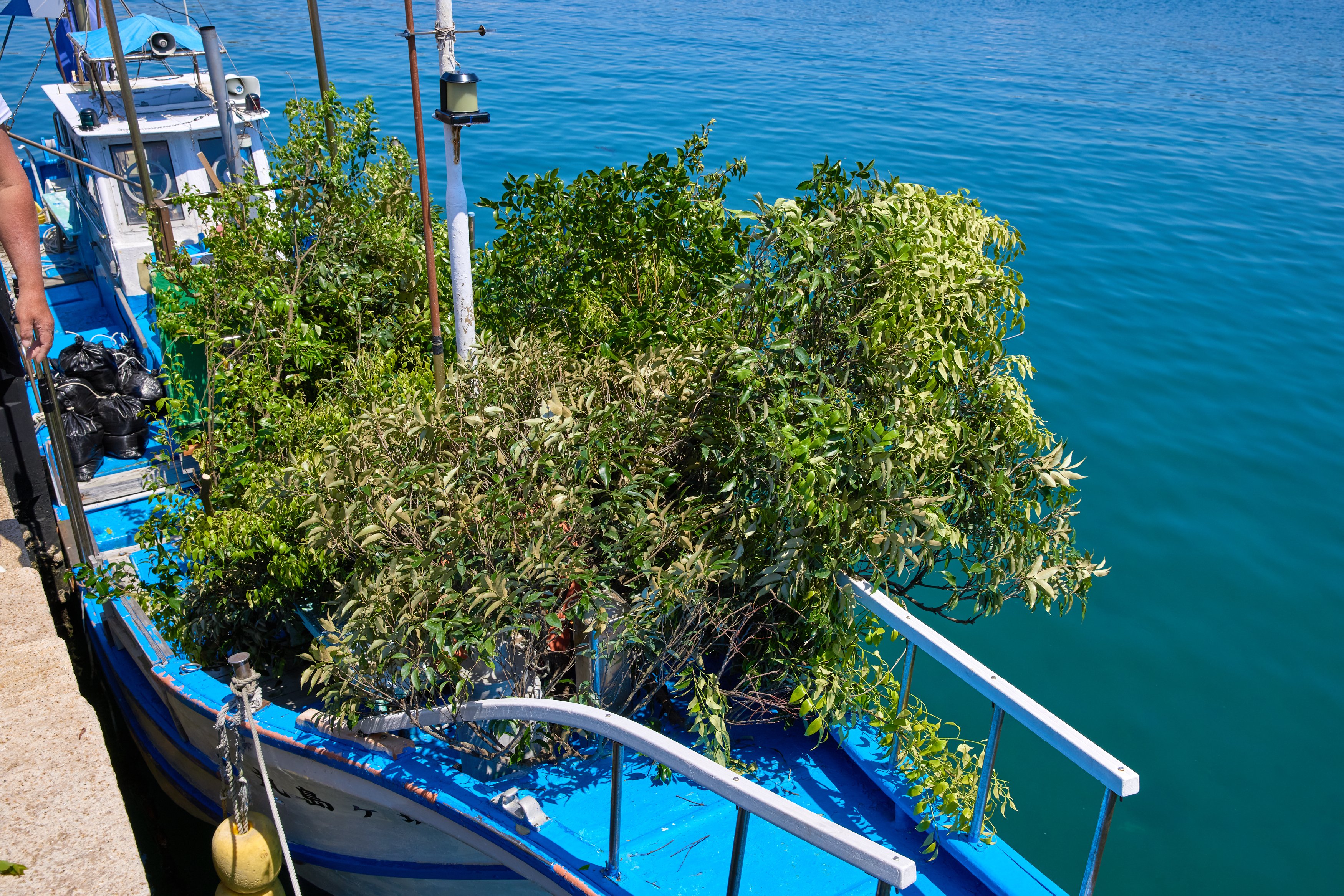 10aoriika_250430_027.jpg